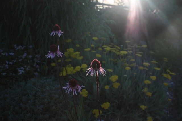 A new day